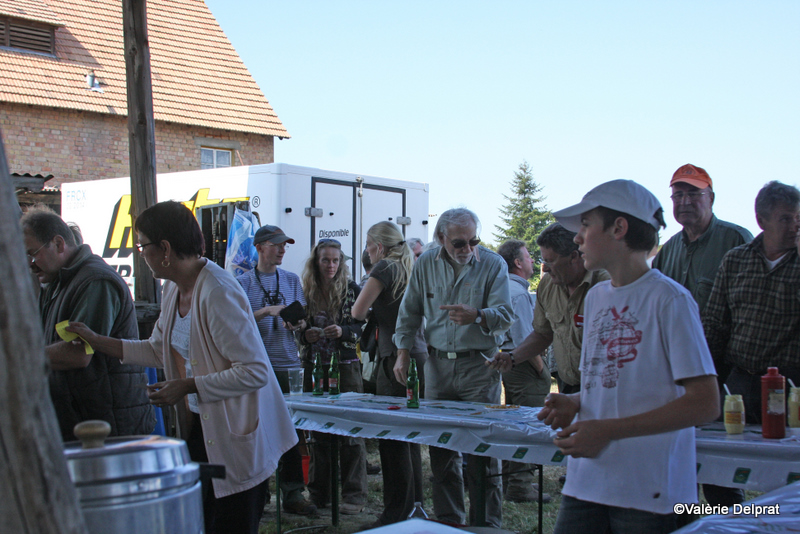 Field Erstein 09 (89).JPG